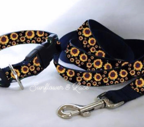 DOG LEASH/COLAR SET